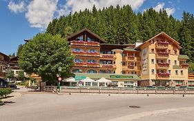 Bischofsmütze 4*